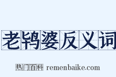 老鸨婆反义词是什么意思的图片